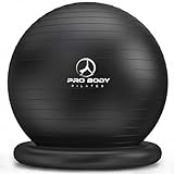 ProBody Pilates Ball Chair