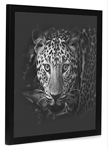 Americanflat 17x17 Picture Frame with Polished Plexiglass - Epic Collection - Square Picture Frame with Engineered Wood - Wide Photo Frames for Wall display - Black