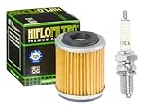 Premium Oil Filter & NGK Spark Plug D7EA Tune Up Kit Compatible with Yamaha Timberwolf 250 Moto 4