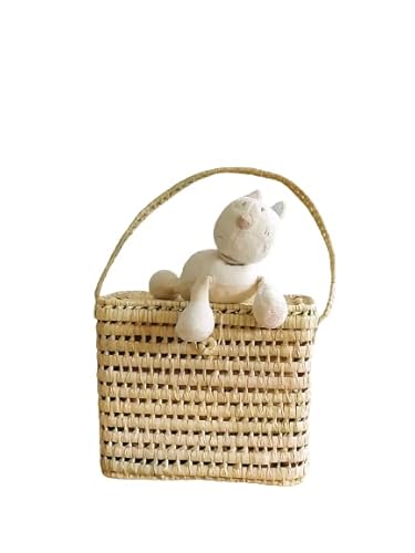 Caisse de rangement en osier, Petite malle de rangement en feuilles de palmier, Coffre rangement osier, Coffre à jouets