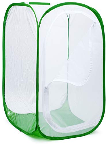 image for RESTCLOUD 4 Feet Extra Large Monarch Butterfly Habitat, Giant Collapsi