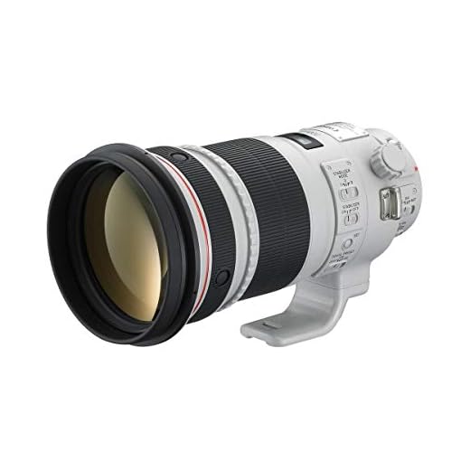 Canon 300mm F2.8 L II USM Lens
