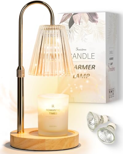 Lampada scaldacandele, calda idea regalo per donne, lampada elettrica profumata con timer e dimmer, decorazione vintage, regalo di compleanno per mamma fidanzata sorella Lampada scaldacandele, calda idea regalo per donne, lampada elettrica profumata con timer e dimmer, decorazione vintage, regalo di compleanno per mamma fidanzata sorella