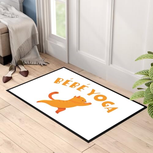Paillasson chat mignon tapis de sol blanc original pour éviter les traces de pas