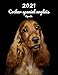 2021 Cocker spaniel anglais Agenda: A4, 123 Pages | 14 Mois | Planificateur & Organiseur | Calendrier | Une double page par semaine | Journal | Chien | En Francais