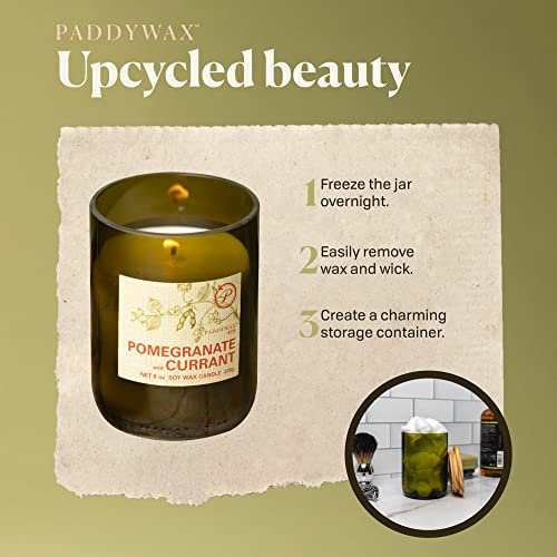 Paddywax Candles Eg04 Eco Collection Scented Soy Wax Jar Candle, 8-Ounce, Pomegranate & Currant #TOP4