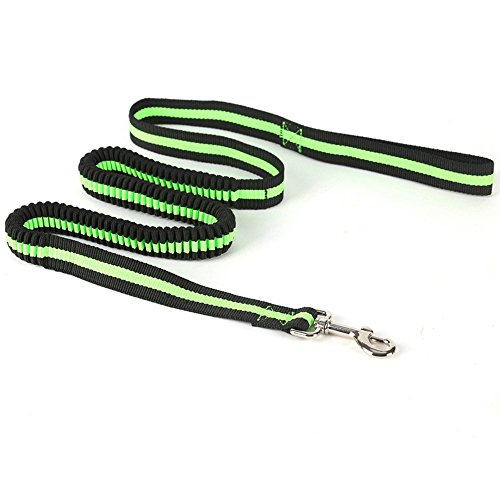 Festnight Noctilucent Elastic Adjustable Retractable Lead Rope Dog Running Leash Restrições de Absor