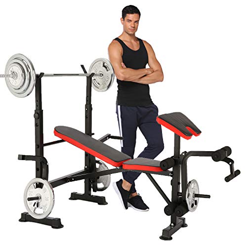 Folding Standard Weight Bench, Adjustable Strength Training Bench for Full Body Workout Olympic Weight Bench with Squat Rack, Arm Training, Preacher Curl and Incline Seat (Dark)