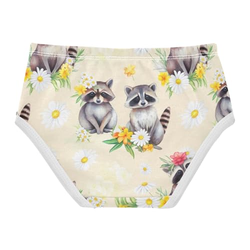 Joisal Cute Raccoons White Daisies Beige Toddler Girls Underwear 2t Cotton Cute Panties Girl Funny Briefs Underpants2