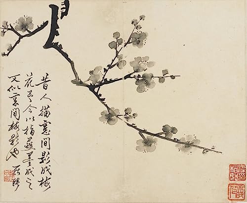 Impression d'affiches prune par Luo Ping toile de paysages fleurs et oiseaux art portrait 60x90cm