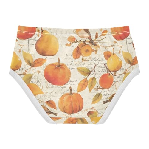 Wusikd Pumpkins Pears Girls' Underwear Cotton Vintage Girls Briefs Soft Toddler Underwear 2T2