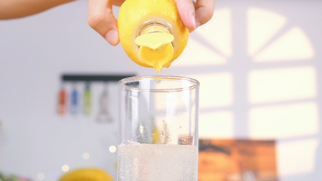 Amazon.com: Lemon Squeezer Screw-Top, 4PCS Manual Juicer with