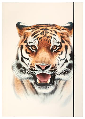 folia 69004 - Sammelmappe A3 Basic Roaring Tiger, aus stabilem Karton mit Gummiband
