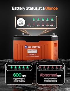 ECO-WORTHY 12V 300AH​ LiFePO4 Lithium Battery Bluetooth with Battery LED Indication, Bulit-in 200A BMS, Low-Temp Protection, 3840Wh, for RV, Off-Grid, Home Backup, Solar Power System
