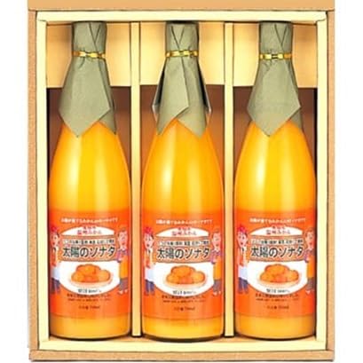 (毎月定期便)太陽のソナタ(温州ミカンジュース)全10回(H12-3)