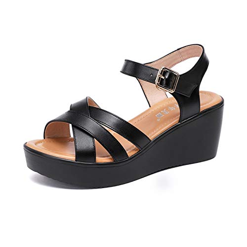 [LECMT] T{ T_ fB[X T_ pvX ₷  EFbWT_ 21.5cm y I[vgD n Vv y xg ₷ K ɂ JWA ʋ ʊw K T}[V[Y ubN