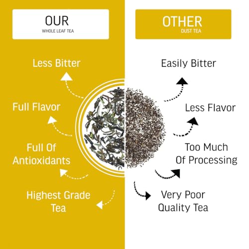 Image of Teacurry Himalayan Nettle Leaf Tea (30 Bags) - Supports Kidney Wellness, Pressure Balance, Digestion & Weight Management | Pure Herbal Tea
