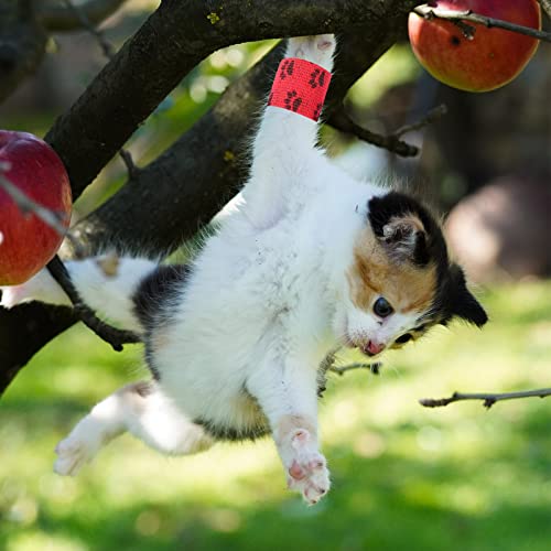 8 rollen zelfklevende bandage voor honden, elastische hechtbandage voor kat, hond, pols, enkelverstuikingen, 5 cm x 4,5 m - Afbeelding 8