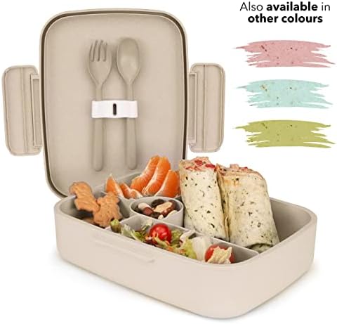 EVOLICO Bento Lunch Box for Kids and Adults - Bento Box Lunch Boxes BPA-Free & Leak Proof - Smart 5 Compartment Lunch Box - School Lunch Box Kids with Fork & Spoon - Microwave Dishwasher Safe