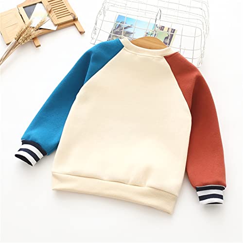 Baby Boys Girls Sweatshirt Thick Fleece Crewneck 𝗥aglan Long Sleeve Windproof Tops Dinosaur Embroidery Pullover3