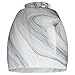 Westinghouse Lighting Corp 8140900 2-1/4-Inch Char Glass Shade