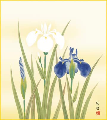 Amazon.co.jp: 四季絵色紙4枚セット-四季淡花SIK-069 : 文房具