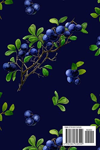 Address Book: Cute Blueberry Address Book with Alphabetical Organizer, Names, Addresses, Birthday, Phone, Work, Email and Notes (Address Book 6x9 Size) image 4