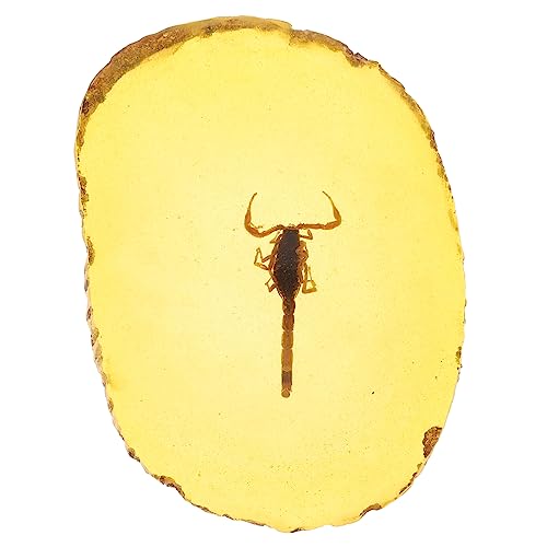 GLEAVI 1 Pc Parque Jurracic Amber Stone Mariposas Reales Colgante Fósil De Ámbar Colgante De Piedra De Ámbar Resina Ámbar Conservado En Resina En Ámbar Colgante De Ámbar Antiguo Escorpión