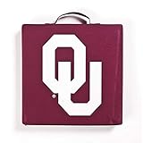 NCAA Michigan State Spartans Wind Sock, Team Color