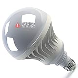 ecoBright 30W (250W 3000LM LED Light Bulb, 3000K Warm White (non-dimmable)