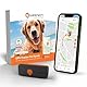 Weenect XS für Hunde - Mini GPS-Tracker für Hunde | GPS-Tracking in Echtzeit | Kleinstes Modell auf dem Markt | Abonnement | Wasserdicht
