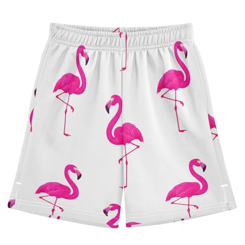 J JOYSAY Standing Flamingo Cute Boys Athletic Shorts Kids Youth Casual Shotrs with Elastic Waistband Pockets
