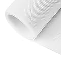 Dantolo Zanzariera Rete in Fibra di Vetro per Finestre 120 * 250CM Telo Ricambio, Net Resistente a Raggi UV, per Finestra e Porta Zanzariere Tagliabile Rotolo-Bianco
