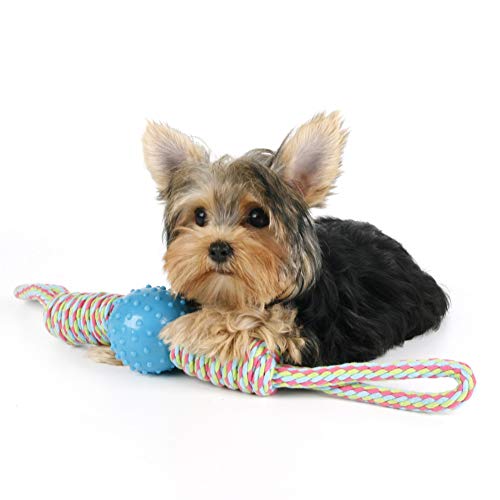handfly Brinquedos para cães com bola de corda, brinquedos para cães com bola com corda, brinquedos