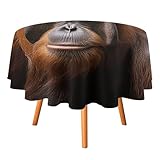 Múltiples usos: este mantel reutilizable es adecuado para uso diario, fiesta de cumpleaños, boda, banquete, día festivo, cafeterías, cenas, brunches, barbacoas, buffets, uso en interiores y exteriores, bodas y mucho más. Decora tus mesas de comedor, mesas de cocina, mesas de picnic al aire última intervensión con cubierta de mesa y hazlas más hermosas y elegantes.