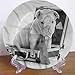 ousente 15 cm buldog angielski ceramiczny talerz obiadowy, szczeniak z krawatem okrągły porcelanowy talerz ceramiczny dekoracja akcesorium na stół jadalny przyjęcie kuchnia wystrój domu