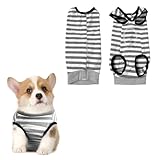 Tuta per cani dopo l