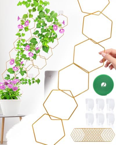 18 Pcs Chain Trellis for Climbing Plants, Potted Houseplant Acces...