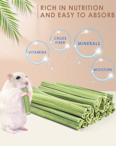 Bissap 35PCS Rabbit Chew Sticks, Natural Papaya Stems Bunny Chews Treats for Rabbit Hamster Chinchilla Guinea Pig Small Animals Organic Molar Chewing Snack