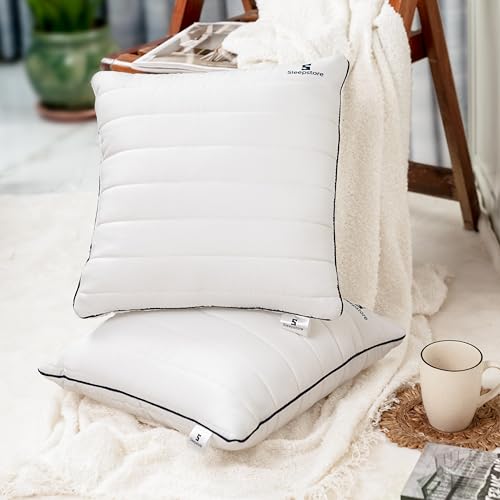 Image of SleepStore Granules Soft Cushion for Back & Spine Support, Pack of 2, 16x16 Inch | Multipurpose Adjustable Cushion for Office, Home & Travel | Shredluxe Fill - Blend of Memory Foam & Premium Fiber