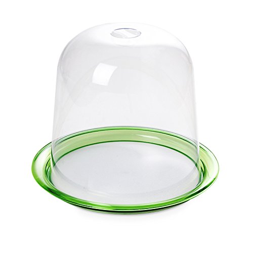 Omada Design Porte-panettone/gateau composé d'un plateau, de différentes couleurs et d'une cloche préservant la fraîcheur, Blanc et Vert