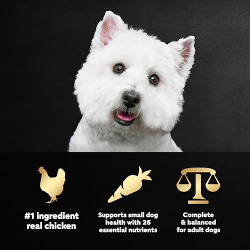 Image of Cesar Small Breed Dry Dog Food, Chicken & Spring Vegetables Flavor, 5 lb | Made in USA, Real chicken #1 ingredient, 26 essential nutrients, supports small breed health, no artificial flavors