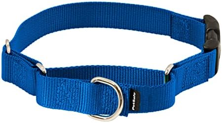PetSafe Martingale Collar with Quick Snap Buckle, 3/4" Medium, Royal Blue