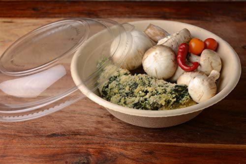 300 Count - Ecoquality 32Oz Round Disposable Bowls With Dome Lids Natural Sugarcane Bagasse Bamboo Fibers Sturdy Compostable Eco Friendly Environmental Paper Plastic Bowl Alternative Tree Free #TOP4