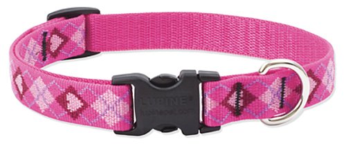 LupinePet Originals 3/4" Puppy Love 9-14" Adjustable Collar for Small Dogs