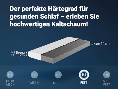 Betten-ABC - Matratze (KSP-500) - 90x200 cm (H4) - 7-Zonen Matratze aus Kaltschaum - Hypoallergen & Antibakteriell - Oeko-TEX® Zertifiziert - Bezug abnehmbar & waschbar - Lieferung per Paket