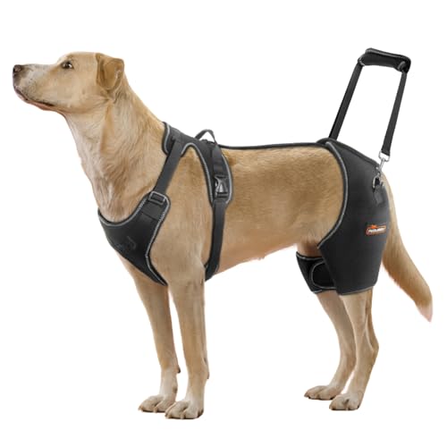 CHAMIN Dog Hip Brace with...