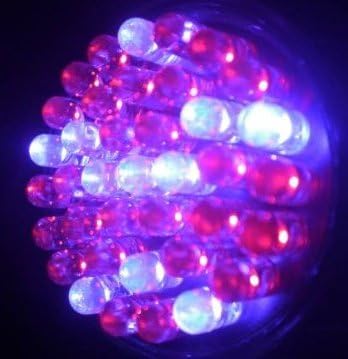 Jumbuk 38 Ultra Bright LED's - 2 inch - Bulb ONLY (Red & Blue)