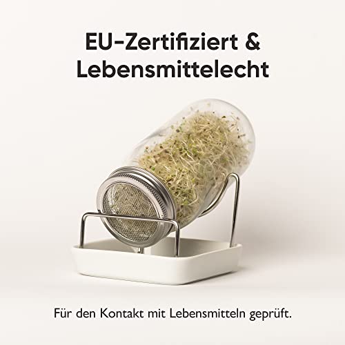 SPROUTY | Sprossenglas Keimglas Set inkl. 2X Sprossensamen |2X Keimglas + 2X Sprossensamen + Sprossen ABC | Sprossen Anzuchtset… - Image 8