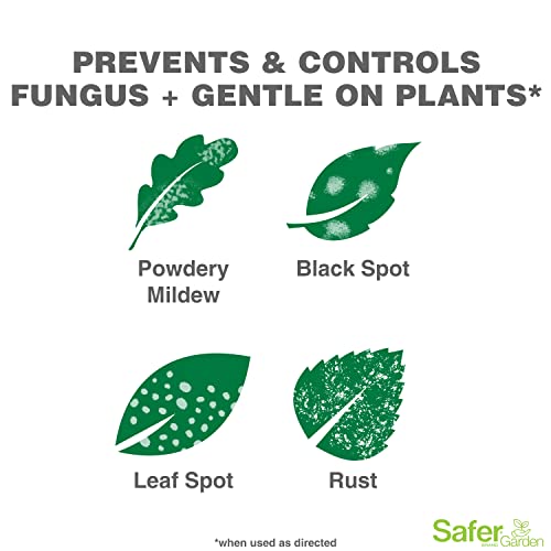Safer Brand Garden SG5450 Fungicide Ready-to-Use Spray for Organic Gardening - Prevents & Controls Powdery Mildew, Black